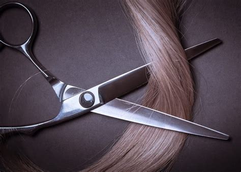 22 Different Types of Scissors and Their Uses (with Pictures) - Homenish