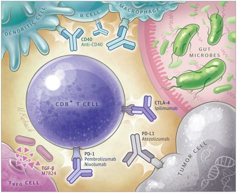 Immunotherapy 2.0: Improving the Response to Checkpoint Inhibitors ...