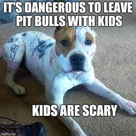 Happy Pet Lover's | Pitbulls, Funny animal jokes, Pitbulls funny