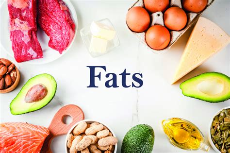 Types of Fat in Food: Everything you Need to Know - Dr. Robert Kiltz