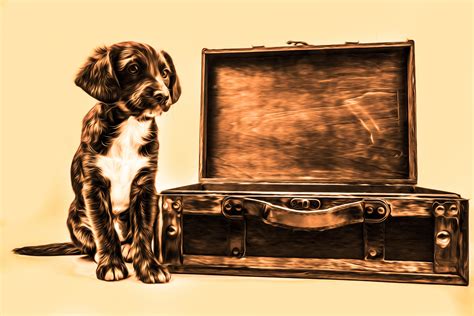 Oil Painting Puppy With Suitcase Free Stock Photo - Public Domain Pictures
