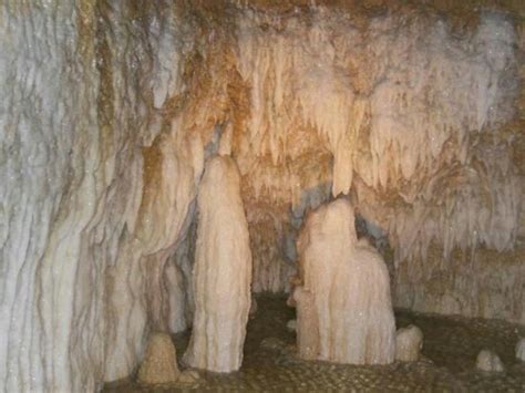 Stalactites in Harrison's Cave, Barbados | Stalactite, Rocks and minerals, Cave