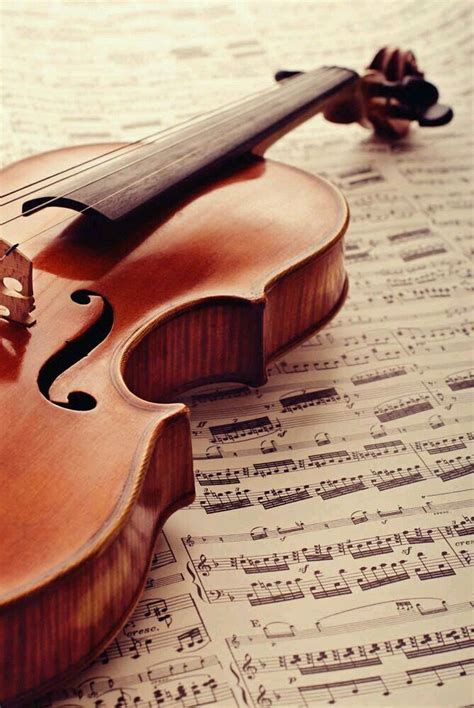 # violin # beautiful pictures # wallpapers | Violine fotografie, Musik ...