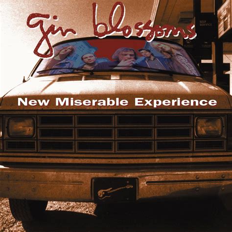 Gin Blossoms - New Miserable Experience 2XLP | Gin blossoms, Gin, Miserable