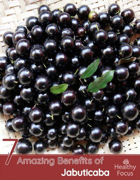 7 Amazing Benefits of Jabuticaba - Healthy Focus