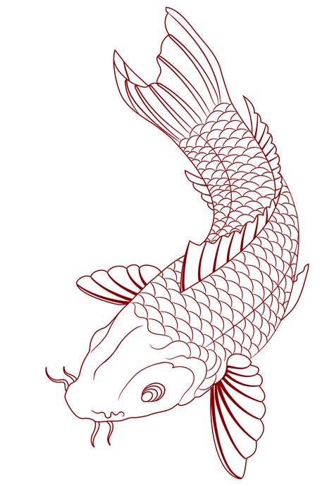 Cara Membuat Ikan Koi Bulky Easy Drawings Dibujos Fac - vrogue.co
