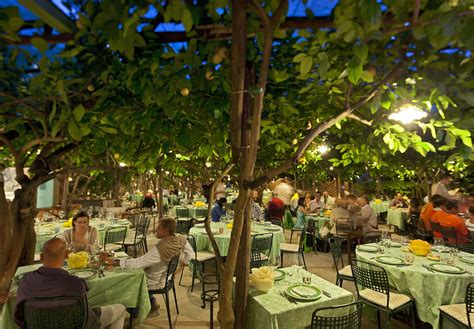 Da Paolino Lemontrees | Capri island, Isle of capri, Tree restaurant