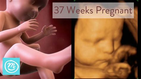 37 Weeks Pregnant: What You Need To Know - Channel Mum - YouTube