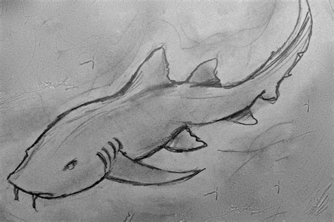 Nurse Shark Drawing at PaintingValley.com | Explore collection of Nurse Shark Drawing