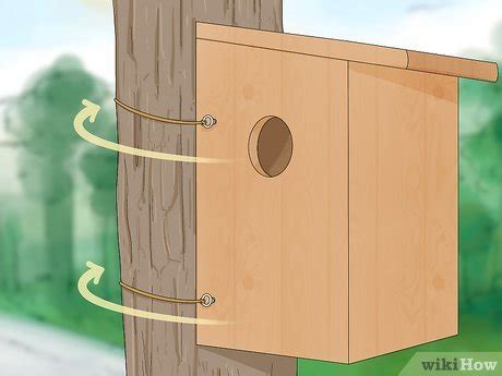 How to Build a Squirrel House: 14 Steps (with Pictures) - wikiHow