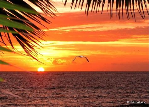 Sunset in Mamanuca Islands, Fiji | Island pictures, Fiji islands ...