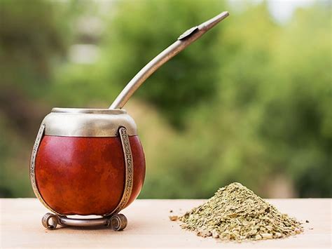 Yerba Mate Cancer Risk: What the Research Finds