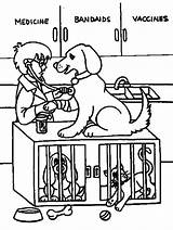 veterinarian Office coloring page sketch template