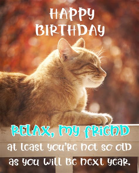 Coletar 53+ imagem cat happy birthday wishes - br.thptnganamst.edu.vn