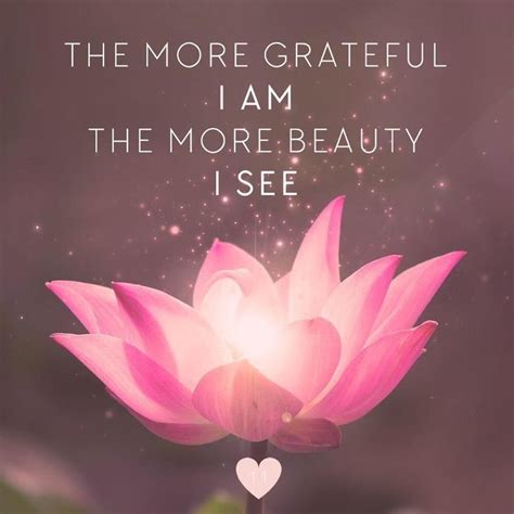 Gratitude Quote | Lotus flower quote, Springtime quotes, Flower quotes