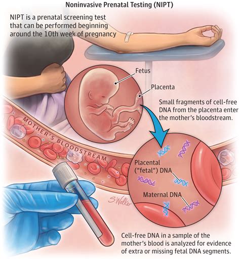 Emerging technology enables risk-free assessment of genetic health of growing baby – MDIS Blog