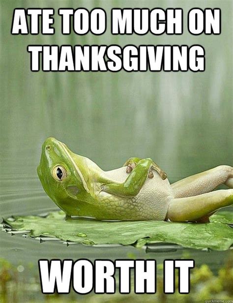 12 Funny Thanksgiving Memes That Capture Our Feelings For That Holiday Make Funny Pictures ...