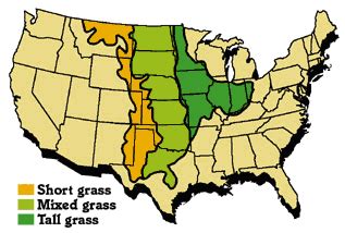 Virtual Prairie Field Trip Blog