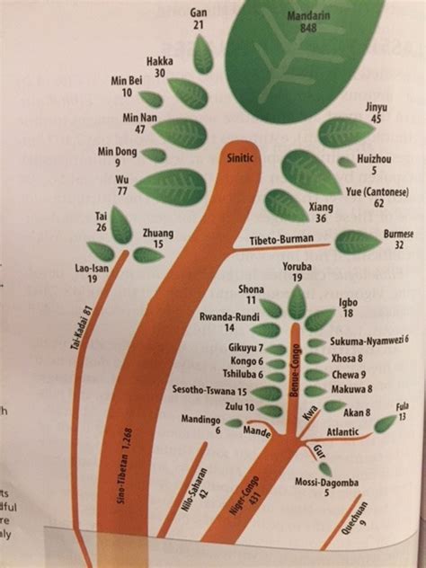 Sino-Tibetan Language Tree Diagram | Quizlet