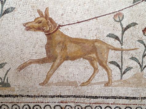 Roman mosaic detail - a dog on a leash, from Bardo museum, Tunisia Ancient Dogs, Ancient Art ...