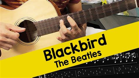 The Beatles - Blackbird - Guitar Cover with Tabs - YouTube