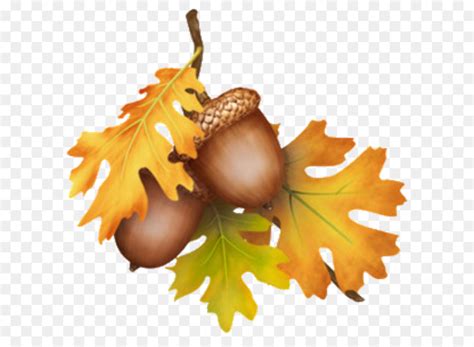 Download High Quality acorn clipart leaves Transparent PNG Images - Art ...