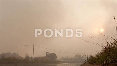 Air pollution caused by forest fire in irrigation area Stock Footage # ...