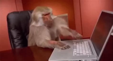 Create meme "the monkey behind the computer, monkey behind a computer, monkey for PC" - Pictures ...