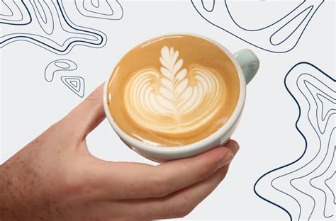 Latte Art Rosetta » How to Pour Latte Art Rosetta? | Coffefusion – Coffeefusion