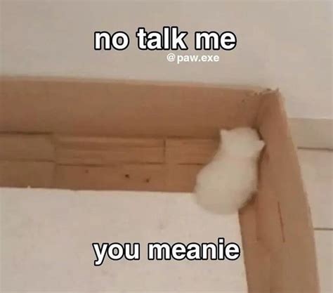 Ur a Meanie 😢 in 2023 | Funny cute cats, Silly cats pictures, Cute memes