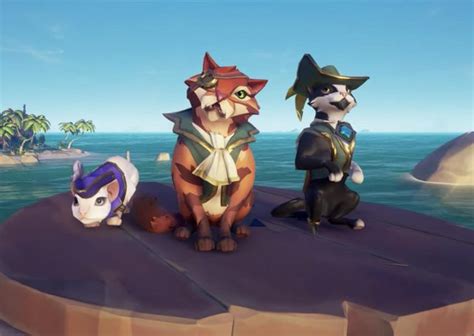 Sea of Thieves - Cats! CATS! 🐱