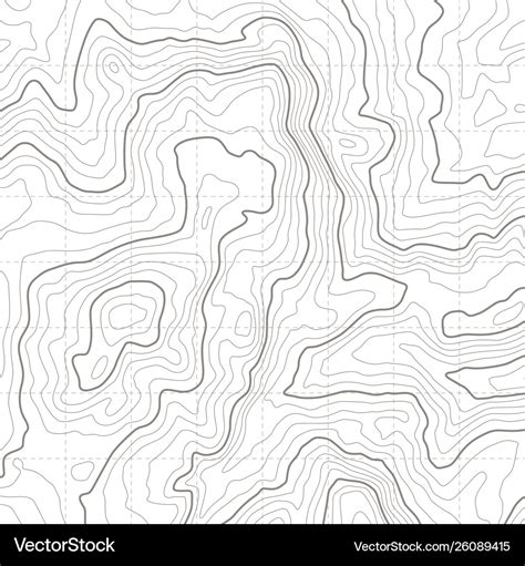 Topographic map geographical location lines Vector Image