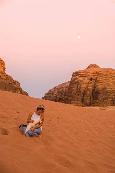 The Honest Truth About What's it Like to Travel in Jordan? | Jordan travel, Popular travel ...