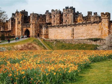 9 Magical Alnwick Castle Harry Potter Filming Locations & Activities ...