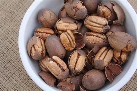 What are the Differences in Pecan Varieties? | Pecan, Pecans for sale, Food