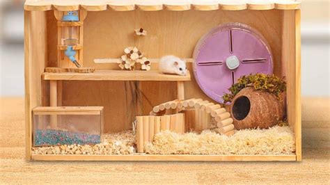 Do Hamster Hibernation？You need to know | wood hamster cage