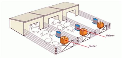 Drawing of low intensity pig housing with outside pen. #ChickenHouses ...