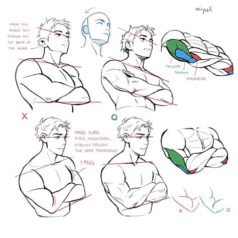 Pin by Nae on anatomy in 2020 | Art reference photos, Art reference, Anime art tutorial