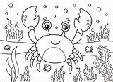 Crab coloring Page  Free Printable Coloring Pages sketch template