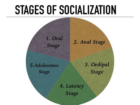 Stages of Socialization || The foundations of society || Bcis Notes