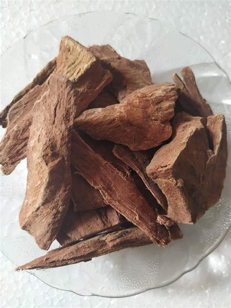 Buy Ambe Ayurveda - Arjun ki Chhal - Arjun Bark Dry - Arjun chal dried - 400gm Online at Low ...