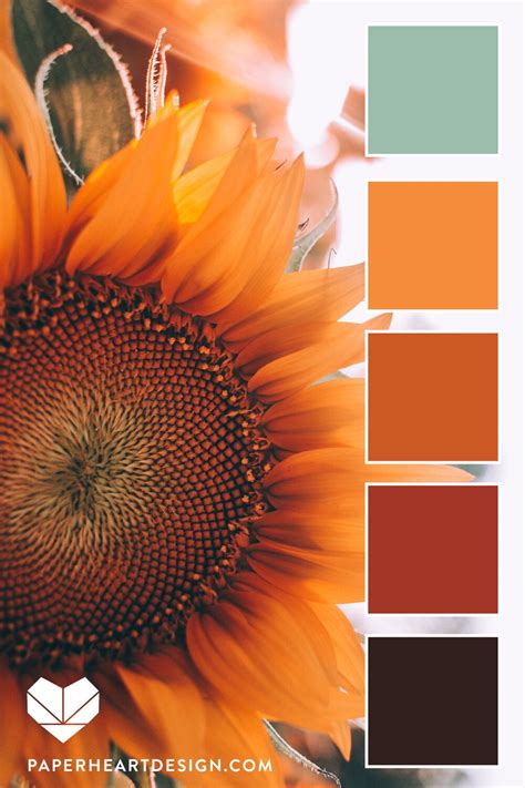 Color Palette: Outstanding Orange — Paper Heart Design | Color palette design, Color schemes ...