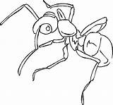 Free Printable Ant Coloring Pages For Kids sketch template
