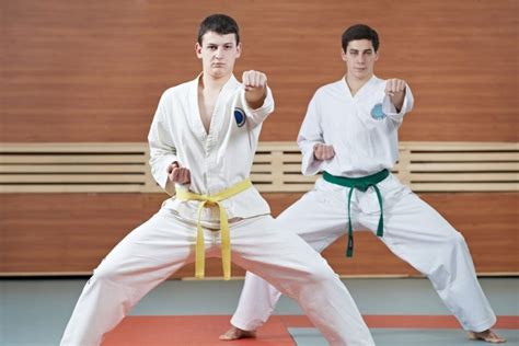 Karate vs. Taekwondo: What Is The Difference? - Sweet Science of Fighting