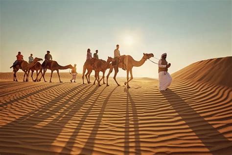 How to Ride a Camel in Desert Safari Dubai| Guide