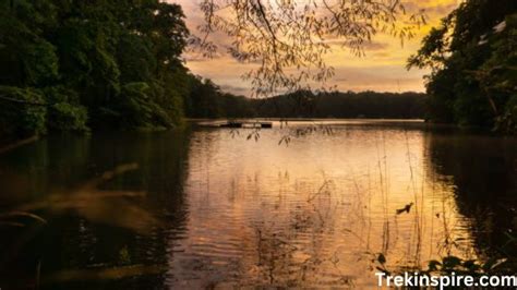 Lake Hartwell Water Level