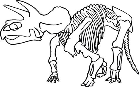 Dinosaur Bones Drawing at GetDrawings | Free download