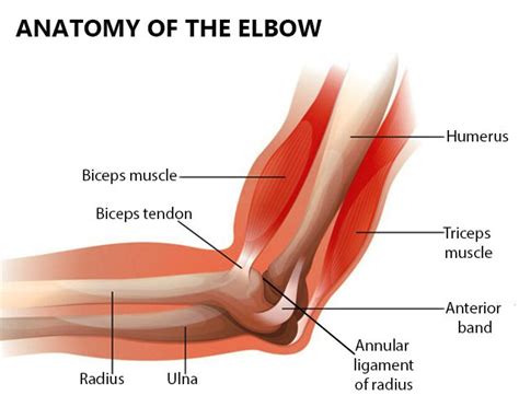 Elbow Sprain and Strain Treatment in NYC | New York Pain Care