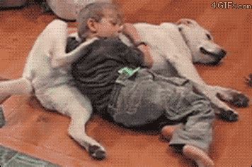 Aw GIF - Dogs Puppy Dog GIFs | Say more with Tenor