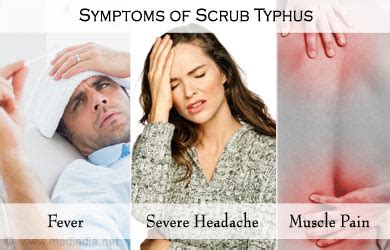 Scrub Typhus Signs And Symptoms